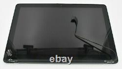 Apple MacBook Pro A1278 (Mid 2010) LCD Screen