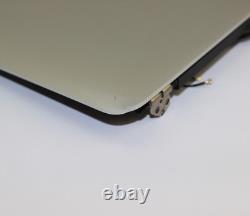 Apple MacBook Pro Retina 13 LCD Screen Mid 2014 A1502 MGX72LL/A 11,1