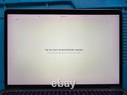 Genuine Apple MacBook Pro 13 LCD Screen Display Assembly GREY 2016 2017