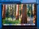 Genuine Apple MacBook Pro 14 M1 2021 A2442 LCD Screen EMC 3650 Grey Grade D