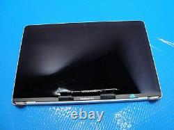 MacBook Pro A1706 13 Mid 2017 MPXV2LL/A LCD Screen Display Silver 661-07971
