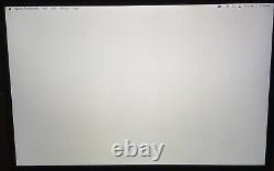 OEM Apple MacBook Pro Intel 13 SPACE GRAY LCD Screen A2251 A2289 2020 B Grade